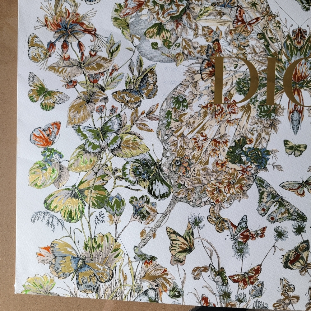 Large Limited Edition Authentic Dior Butterfly Sh… - image 5